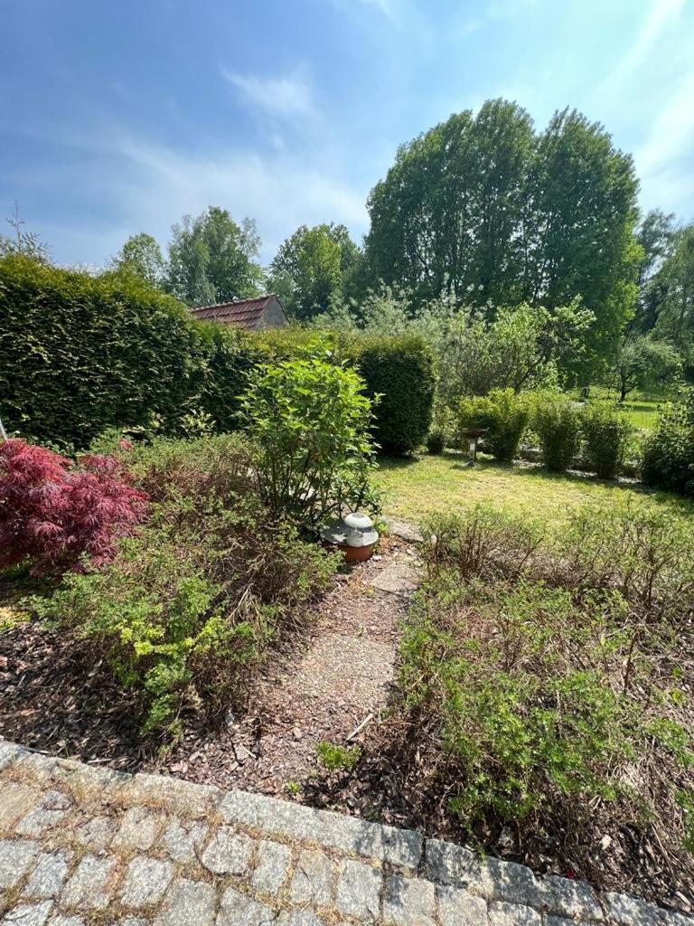 Haus Am Berzdorfer See - 3 Schlafzimmer - Ganzes Haus Zur Alleinnutzung - Terrasse - Hochwertige Ausstattung Görlitz Exteriör bild